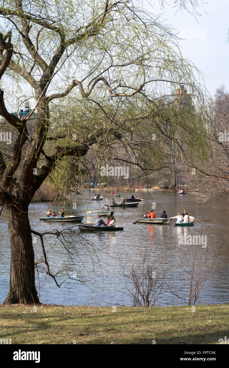 Rowboats on The Lake, Central Park, NYC Stock Photo Alamy