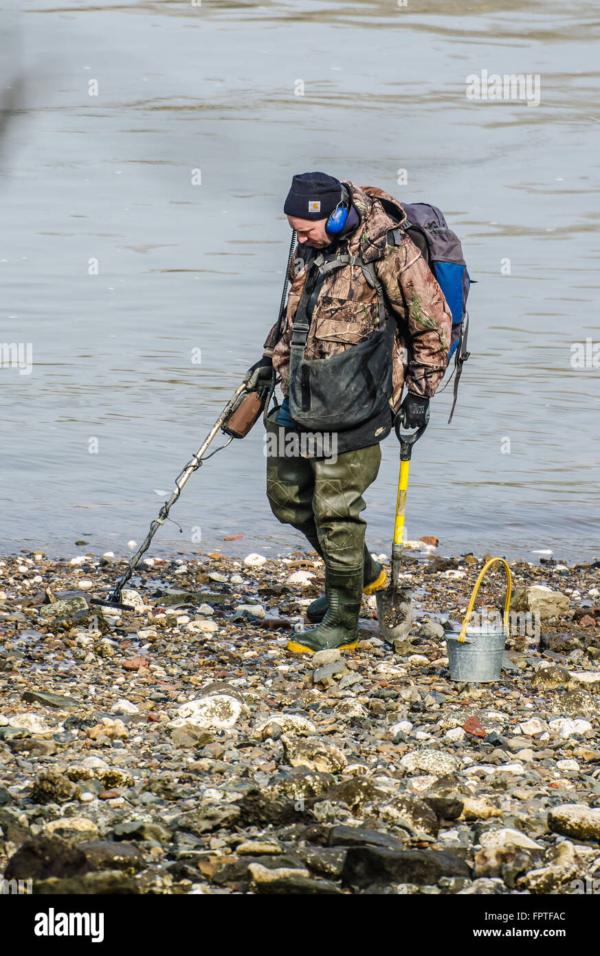 Licensed 'Mudlark' using a metal detector to find valuable or historical items along the Thames riverbank at Battersea, London. Space for copy Stock Photo