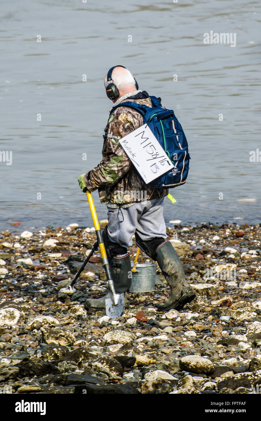 Licensed 'Mudlark' using a metal detector to find valuable or historical items along the Thames riverbank at Battersea, London. Space for copy Stock Photo