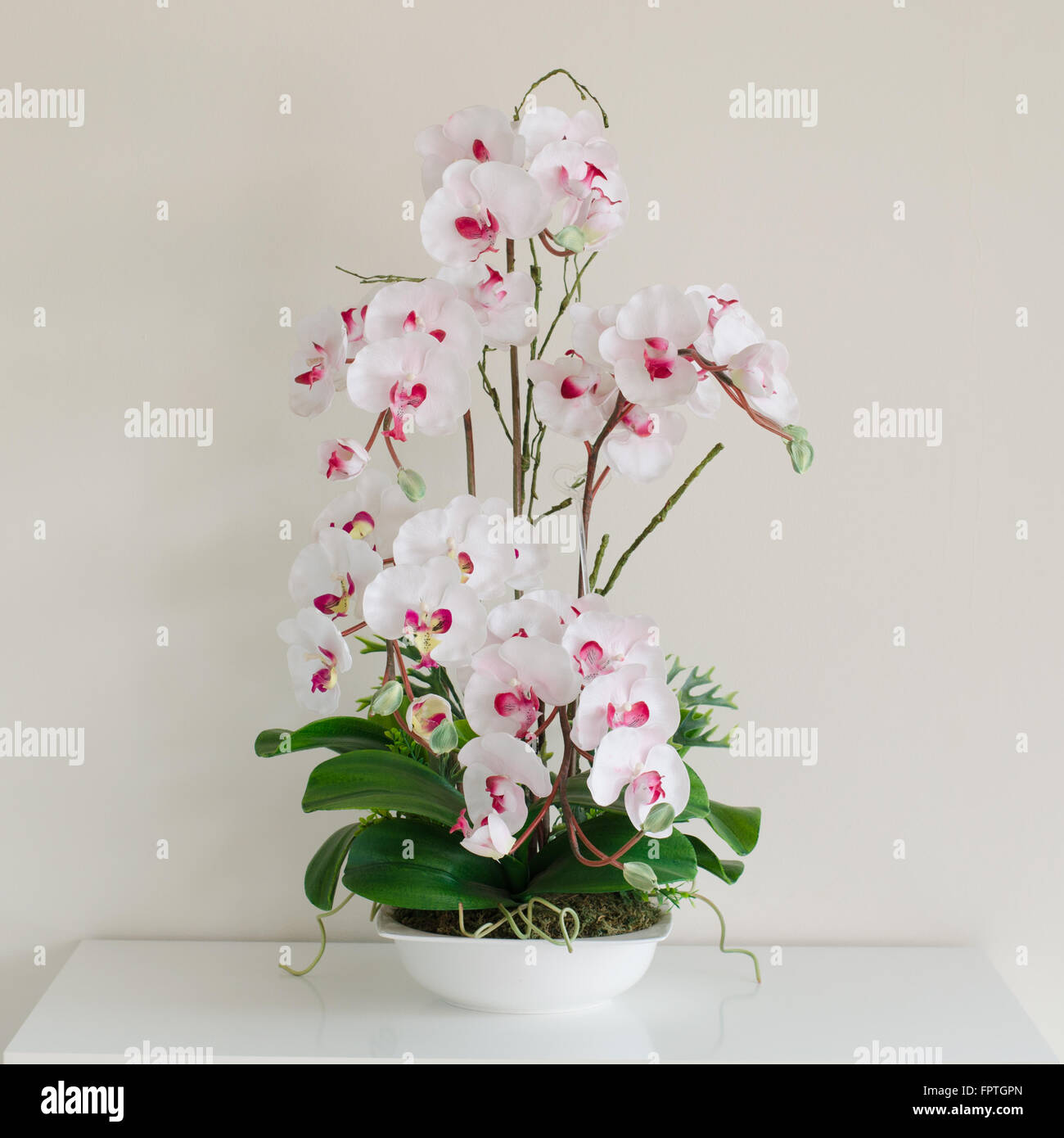 Fake flowers hires stock photography and images Alamy