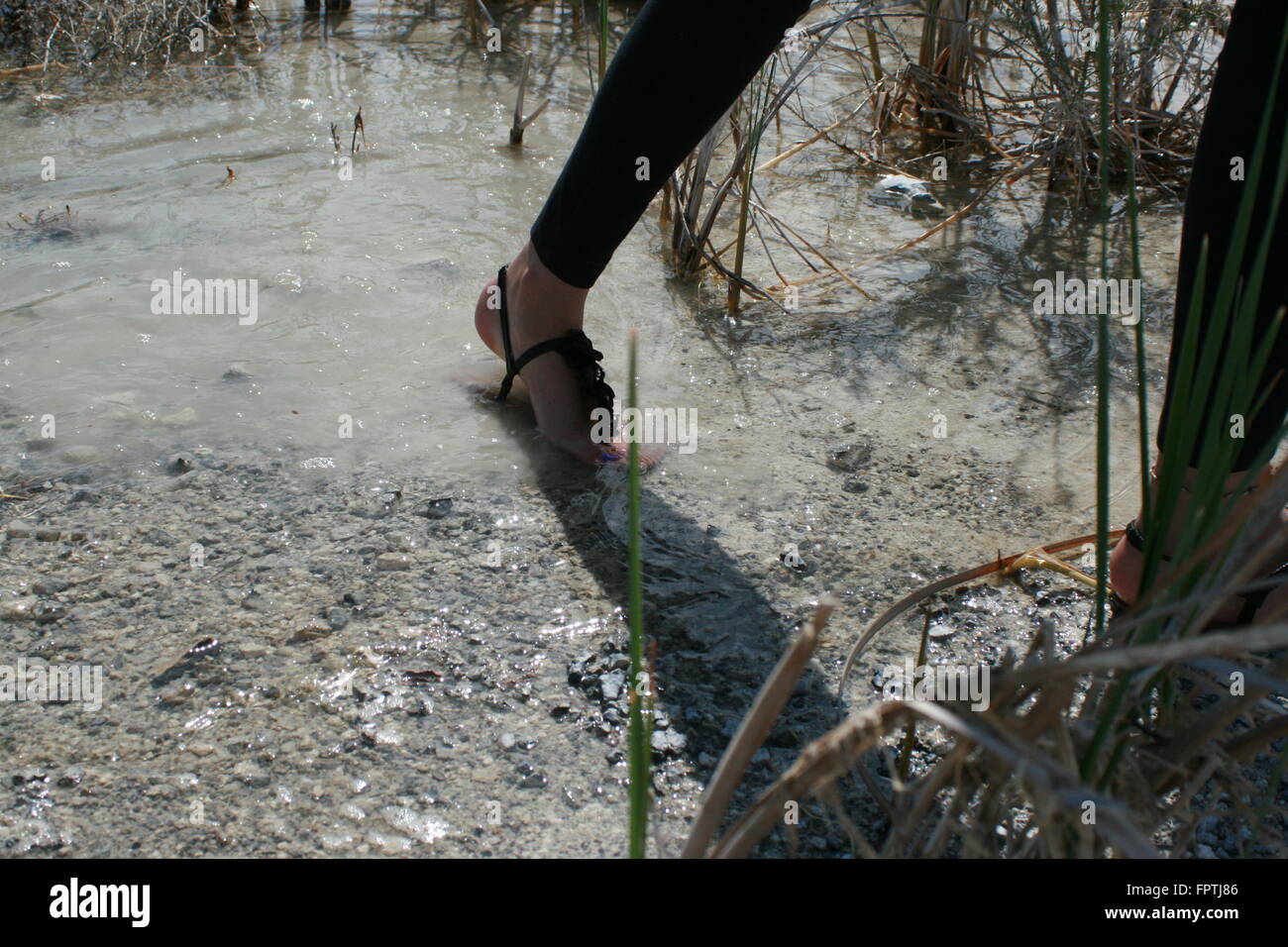 Feet, sandals in water and mud Stock Photo Alamy