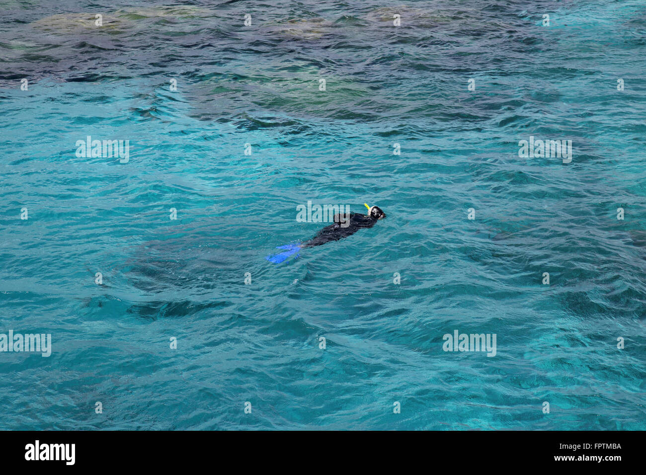 snorkeling at the outer edge of the great barrier reef in australia Stock Photo