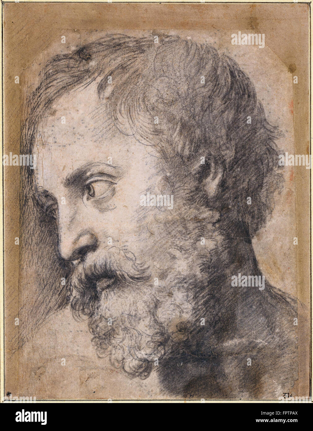 Raphael - Head of An Apostle in the Transfiguration -  1519 1520 Stock Photo