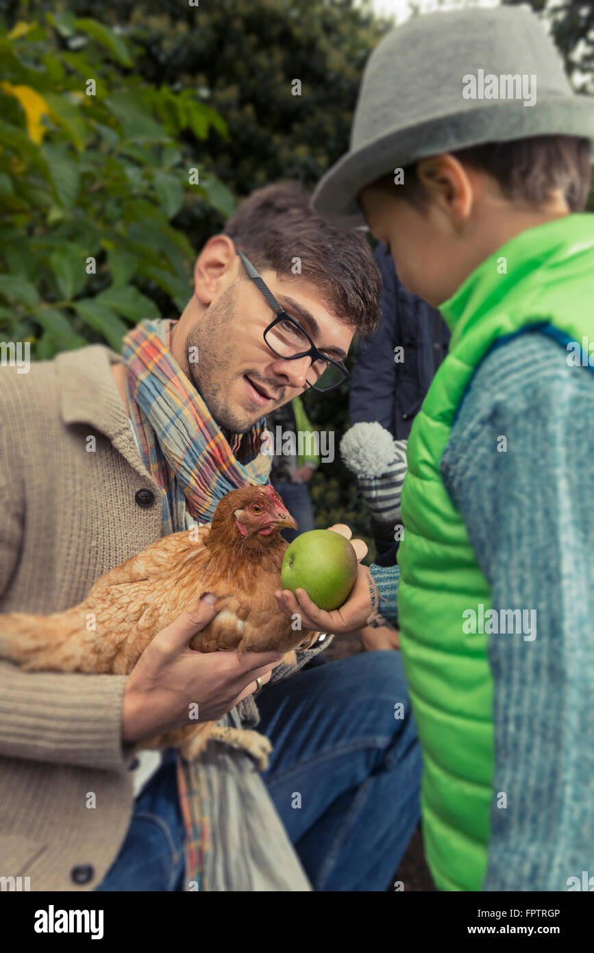 Father holding a chicken bird and son feeding apple, Bavaria, Germany, Stock Photo