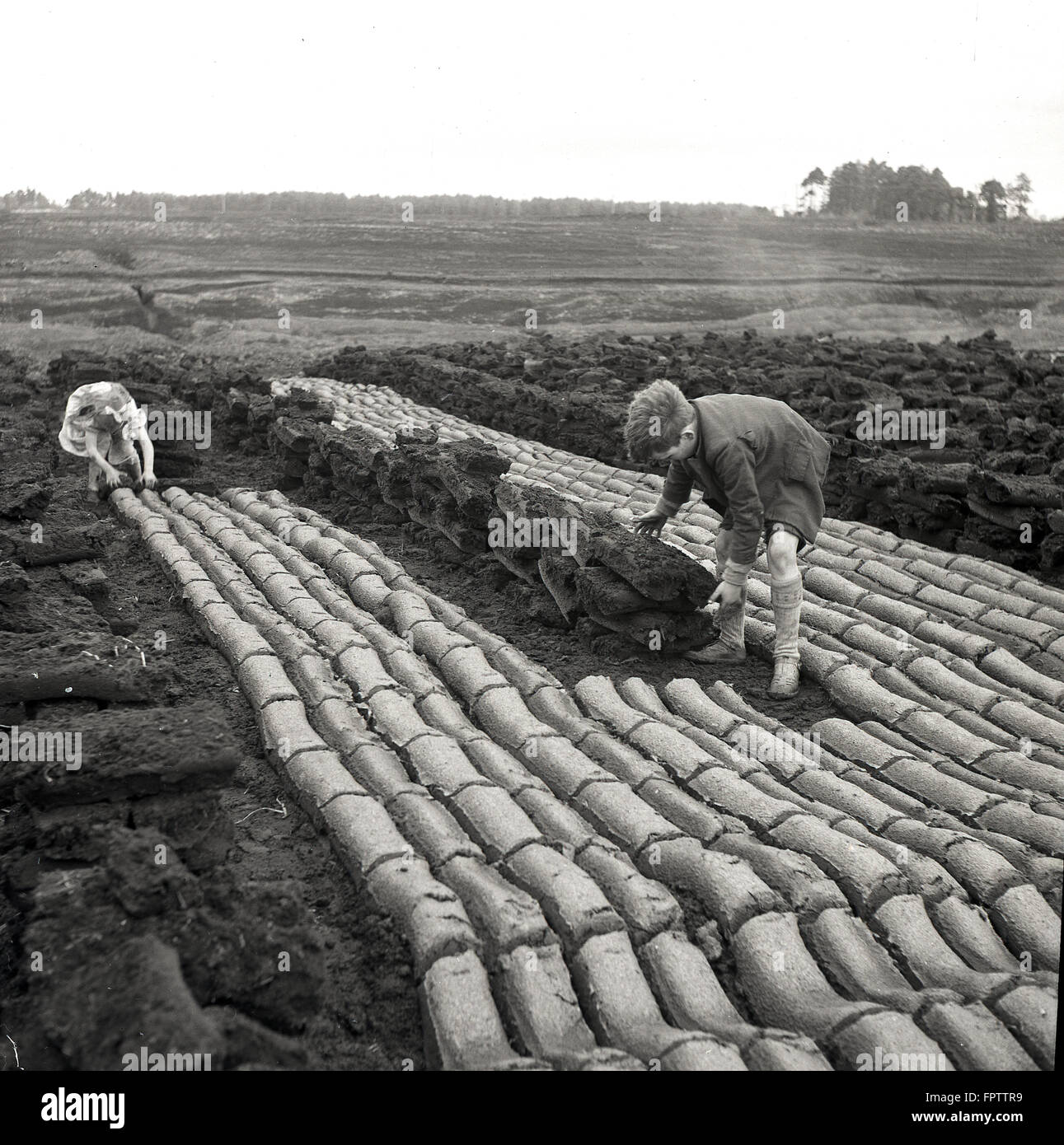 1950s historical, two young Irish children line up rows of peat or turf, Ireland. Stock Photo