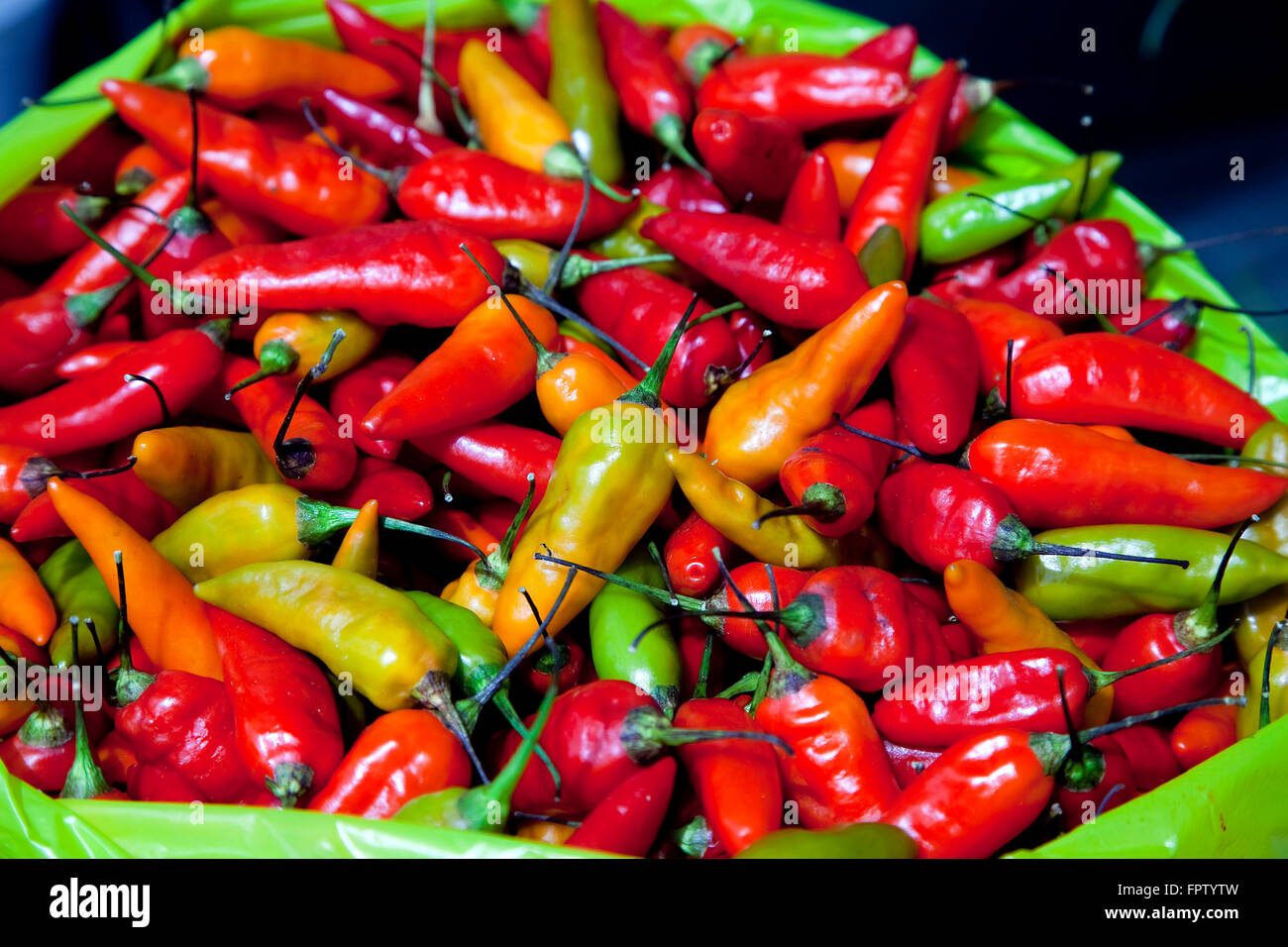 Chiles, Panamá Stock Photo