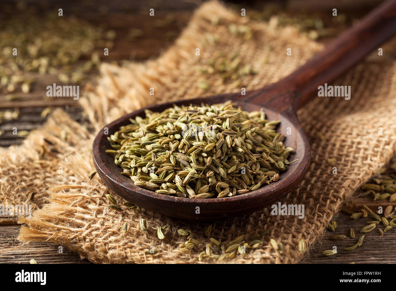 raw organic fennel Seed Ready to Use Stock Photo