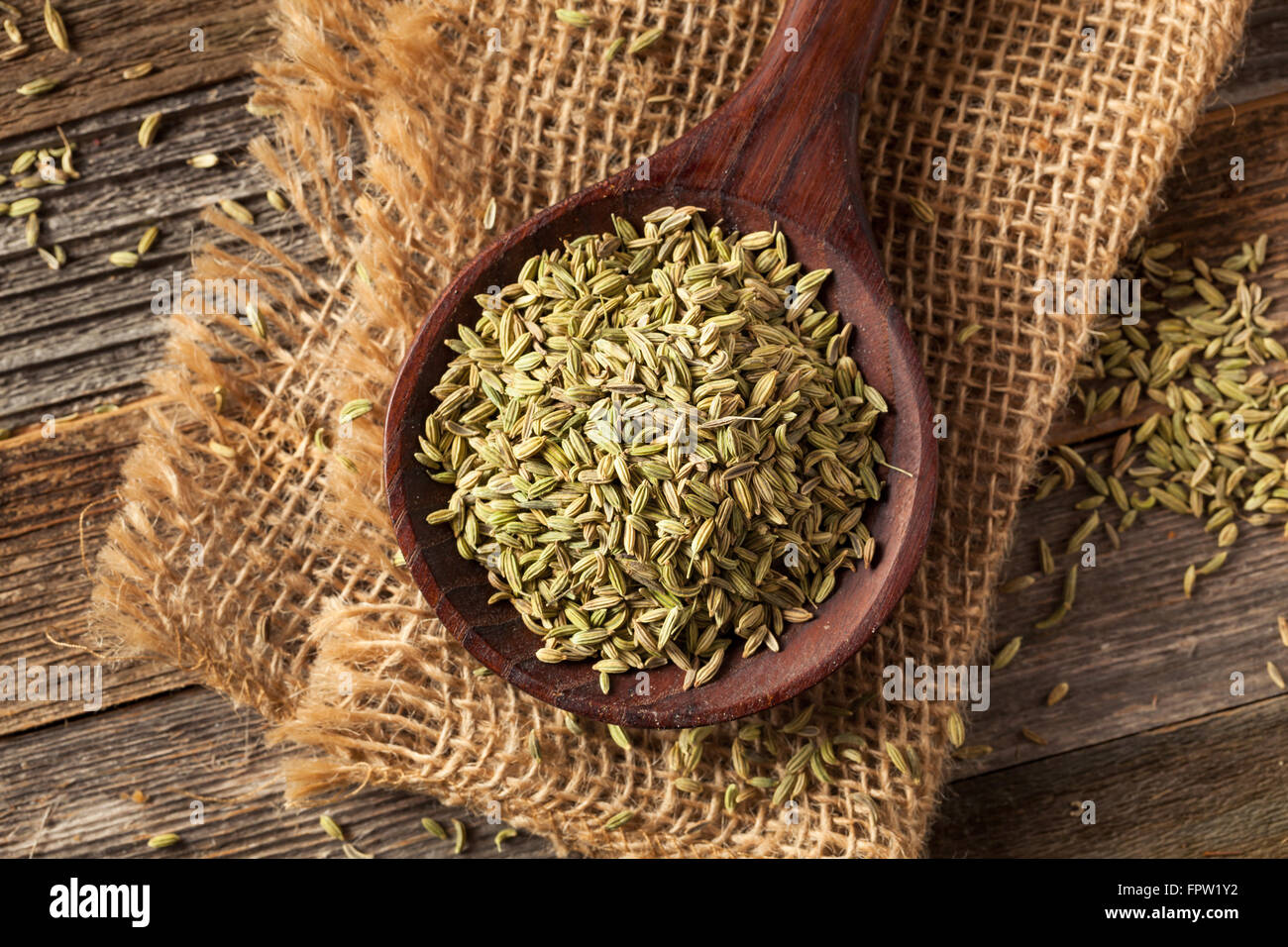 raw organic fennel Seed Ready to Use Stock Photo Alamy