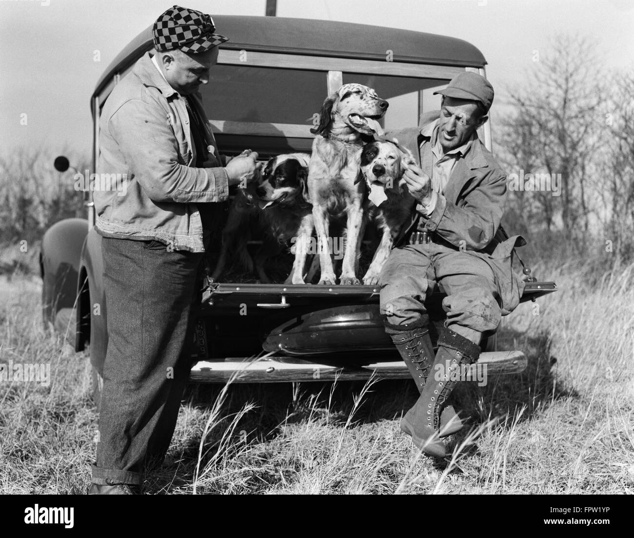 1930s TWO MEN IN HUNTING CLOTHES SITTING STANDING WITH ENGLISH SETTER DOGS ON BACK OF WOODIE STATION WAGON Stock Photo