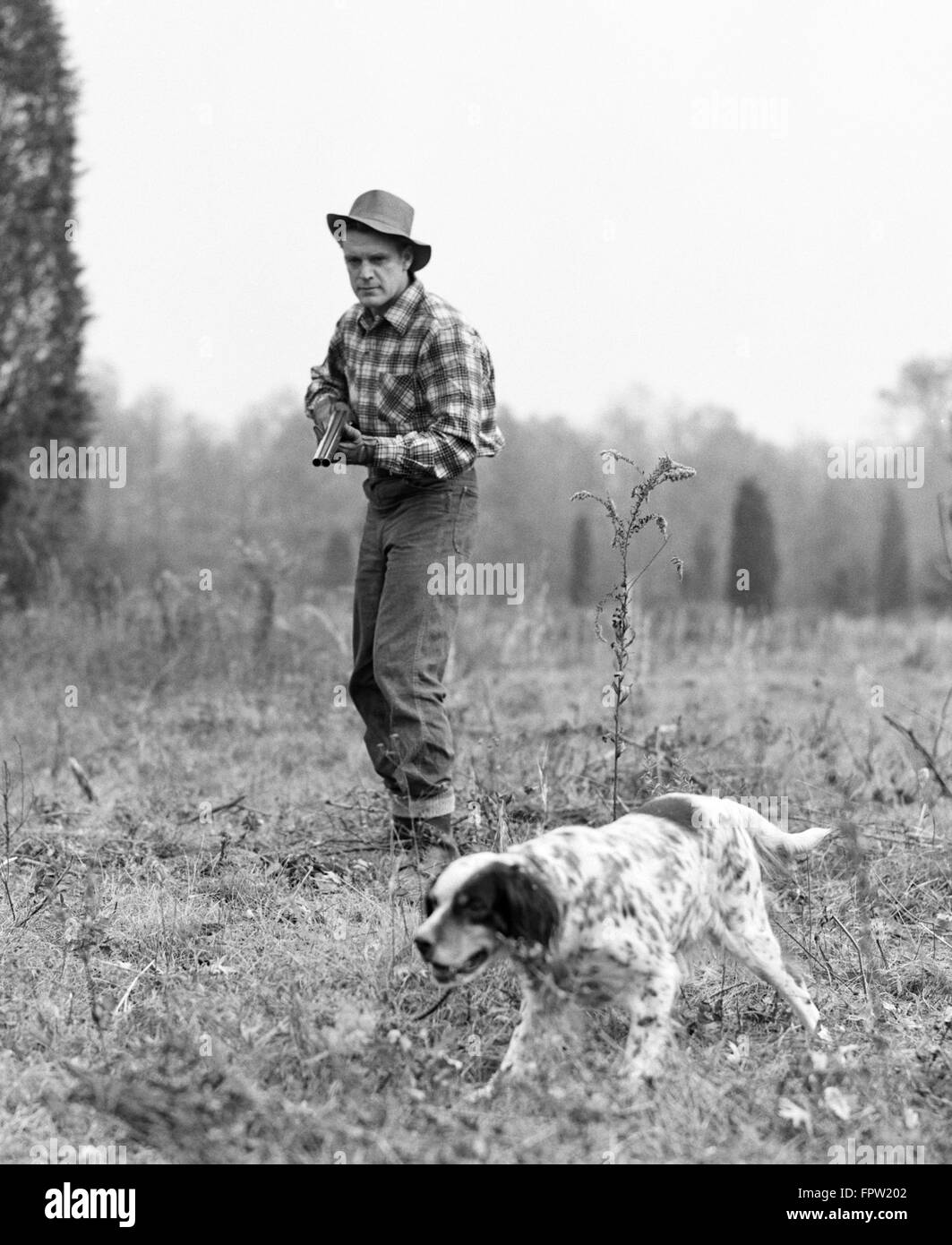 1940s 1950s MAN HUNTER PLAID SHIRT SHOTGUN WITH HUNTING DOG IN FIELD Stock Photo