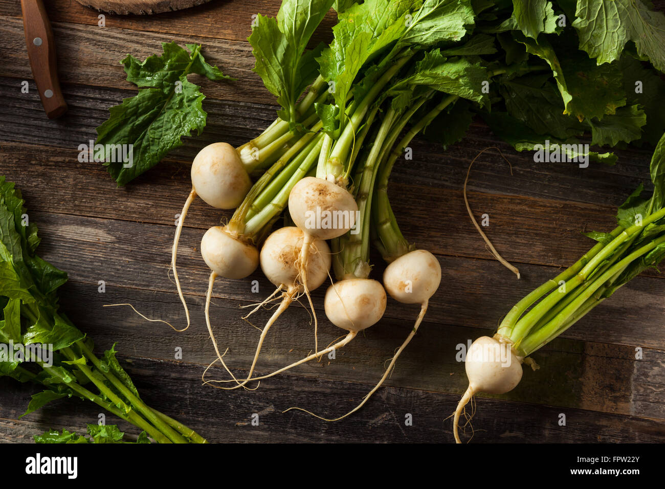 Raw Organic White Radishes with Green Stems Stock Photo