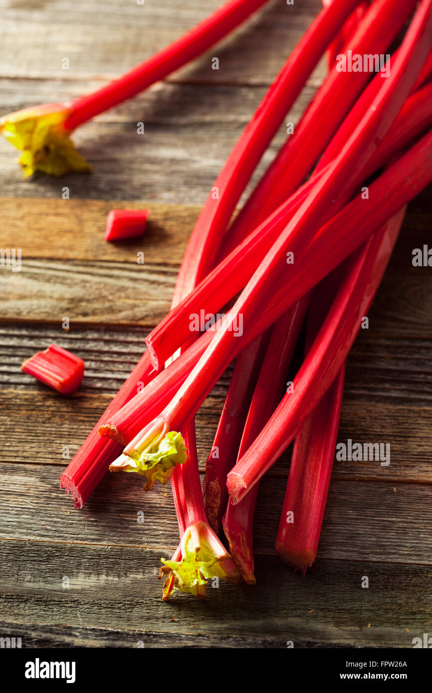 Raw Organic Red Rhubarb Ready to Use Stock Photo