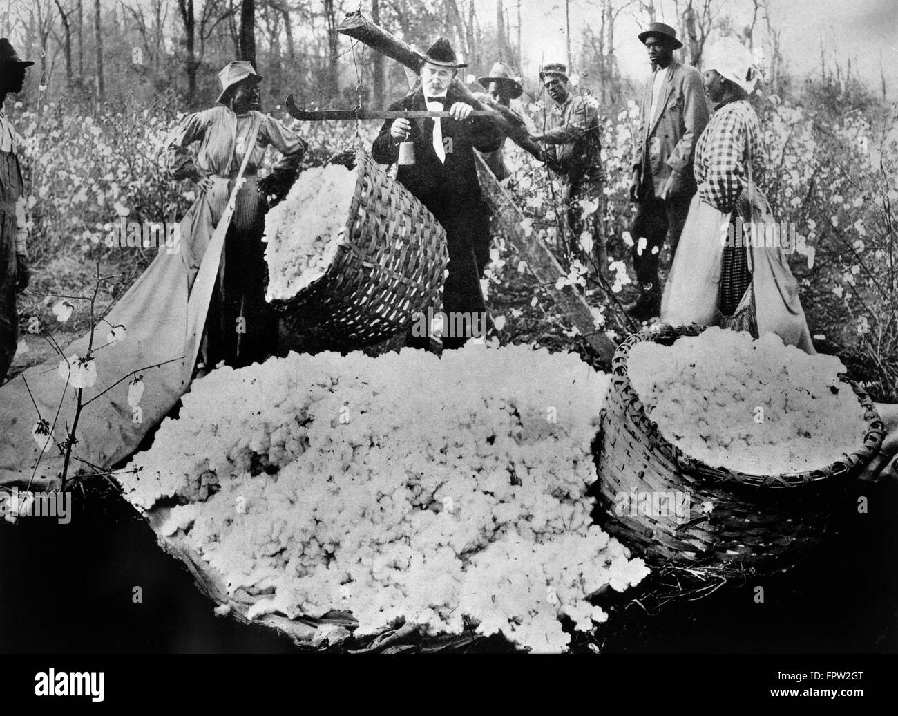 1890s CAUCASIAN MAN WEIGHING BASKET OF COTTON BALLS AFRICAN AMERICAN