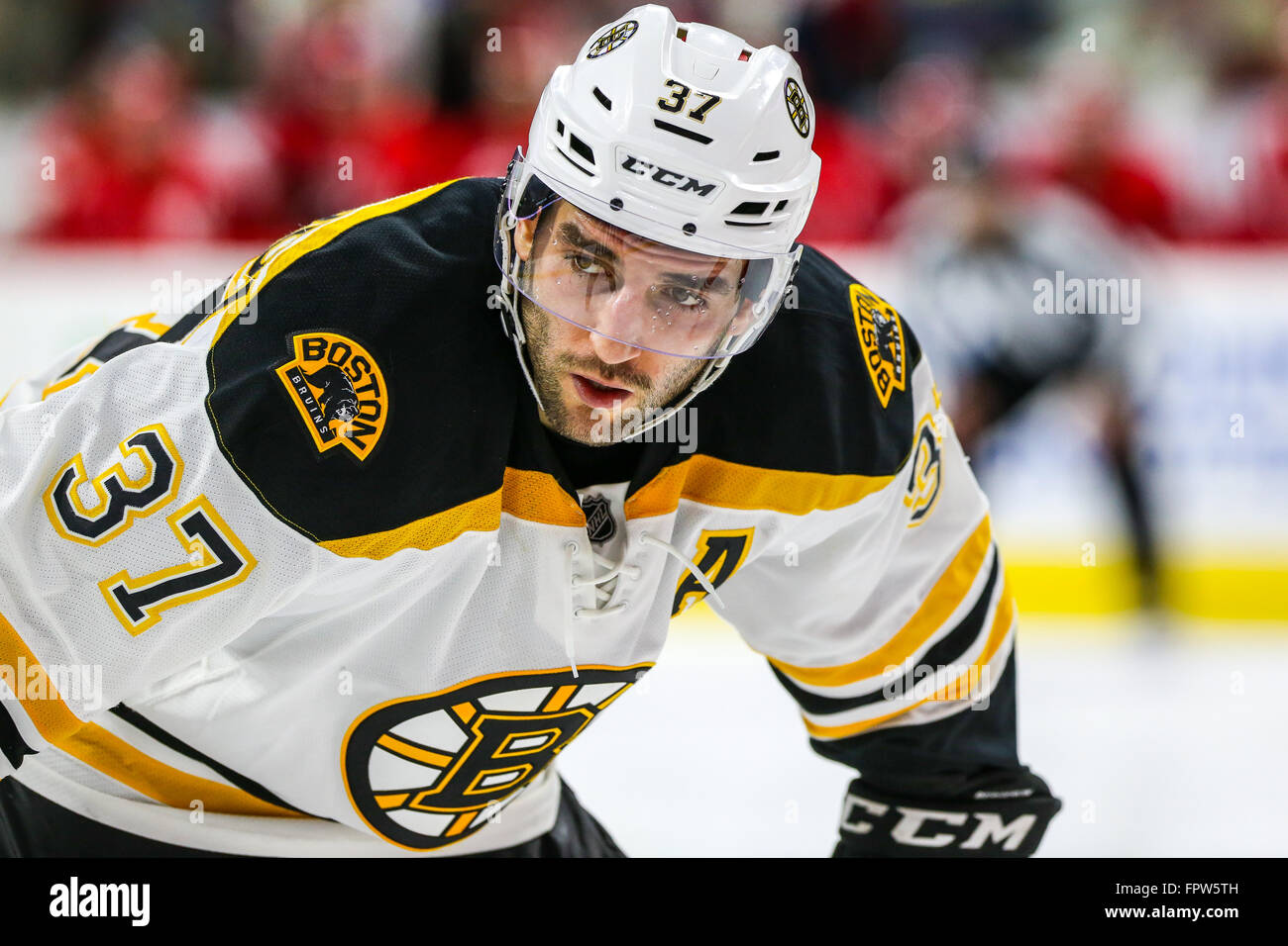Boston Bruins center Patrice Bergeron (37) during the NHL game between the  Boston Bruins and the Carolina Hurricanes at the PNC Arena Stock Photo -  Alamy