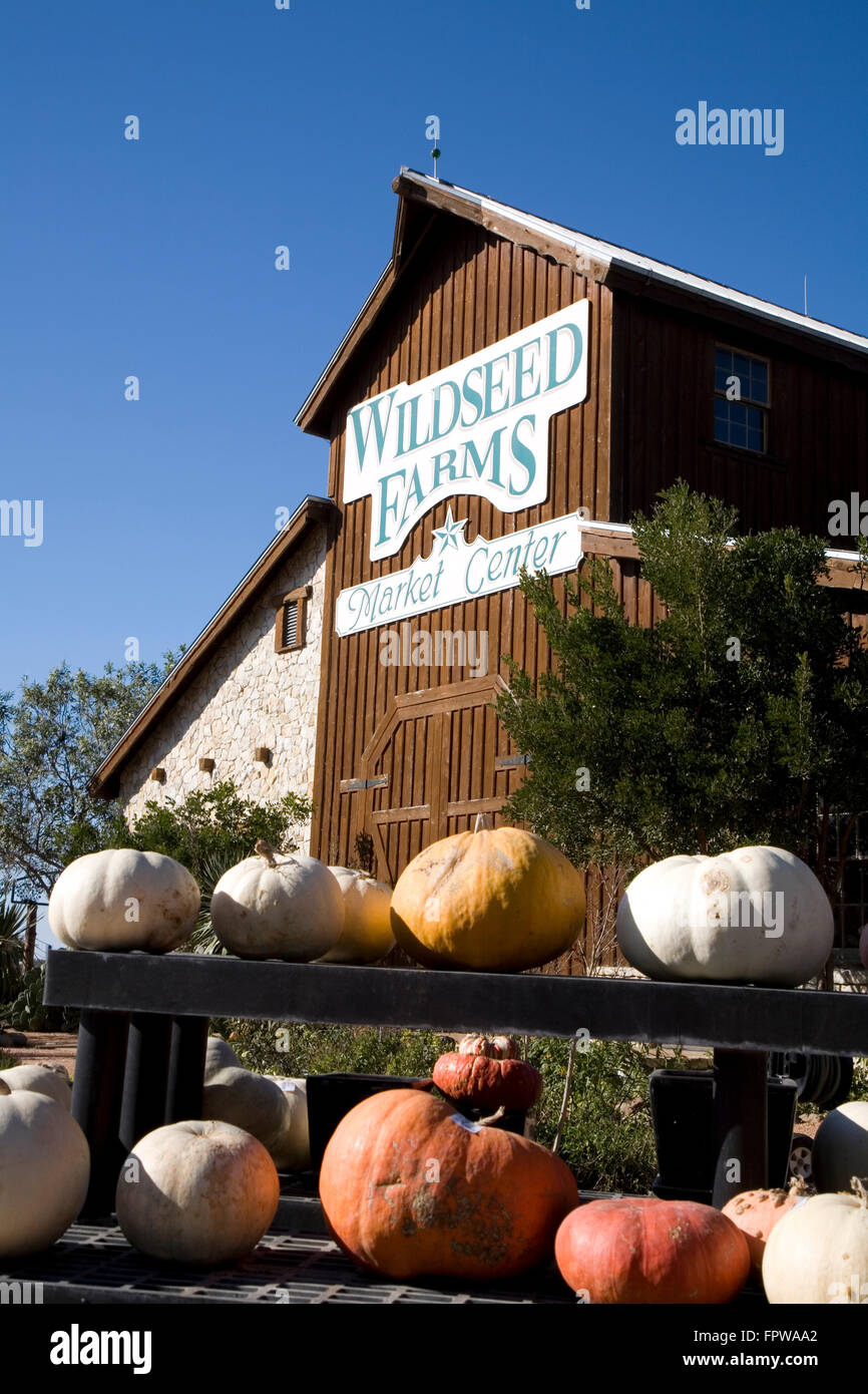 Wildseed Farms offers a refreshing and relaxing visit to one of the