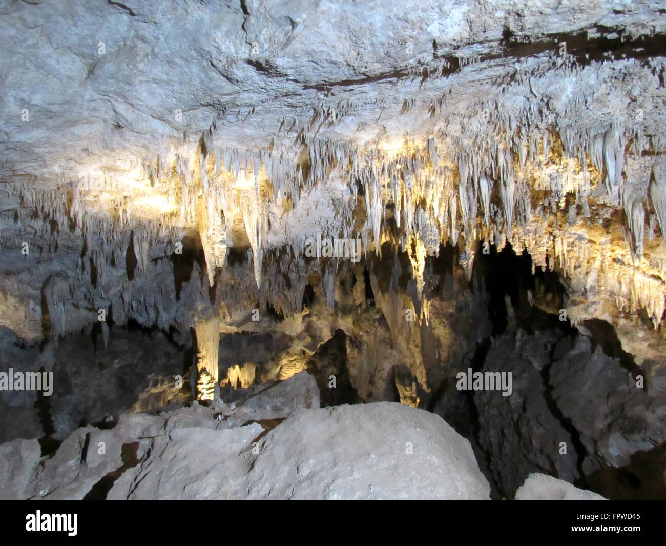 Cave bat mexico hires stock photography and images Alamy