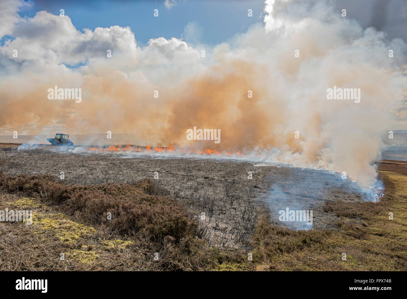 Heather Burning on moorland, which is undertaken in game shooting areas. Stock Photo