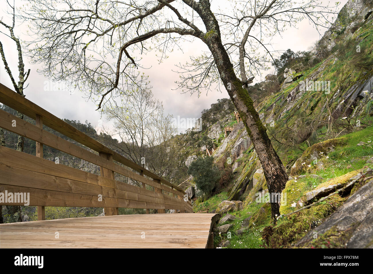 Paiva Walkways are located on the left bank of the Paiva River, in Arouca municipality, Aveiro, Portugal. Stock Photo