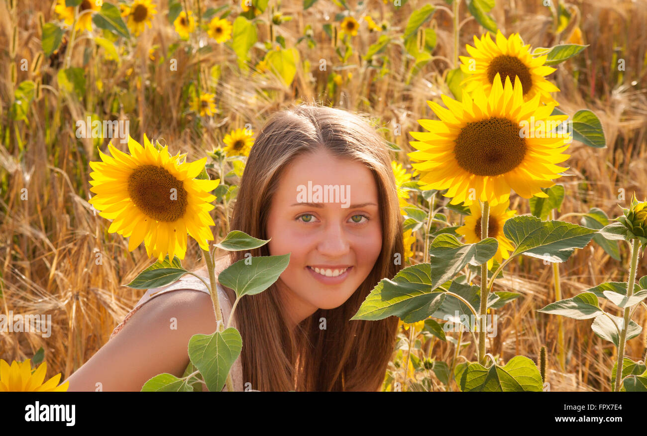 Girl in the sunflower field Stock Photo - Alamy
