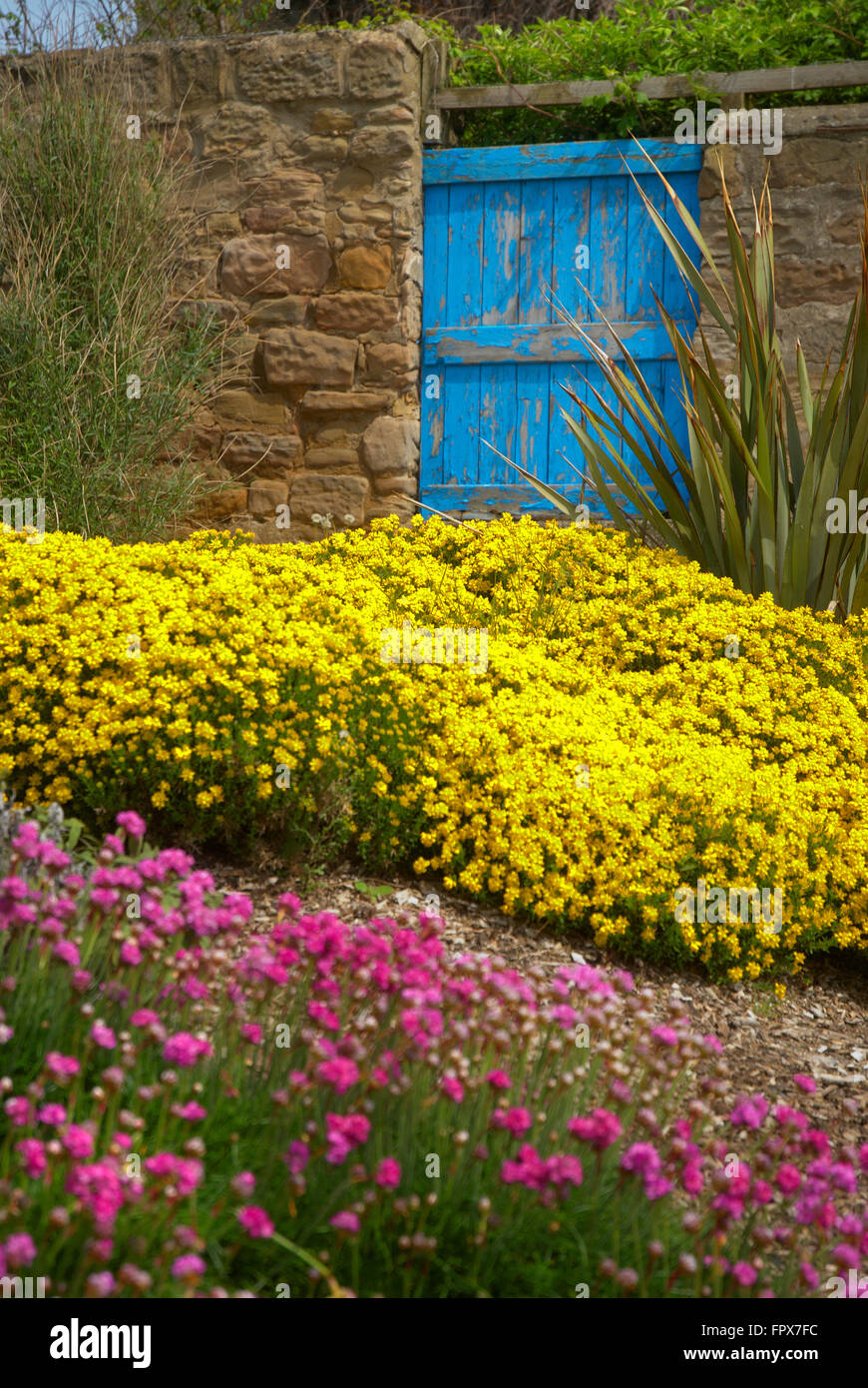 Garden and blue gate, Newbiggin by the sea Stock Photo Alamy