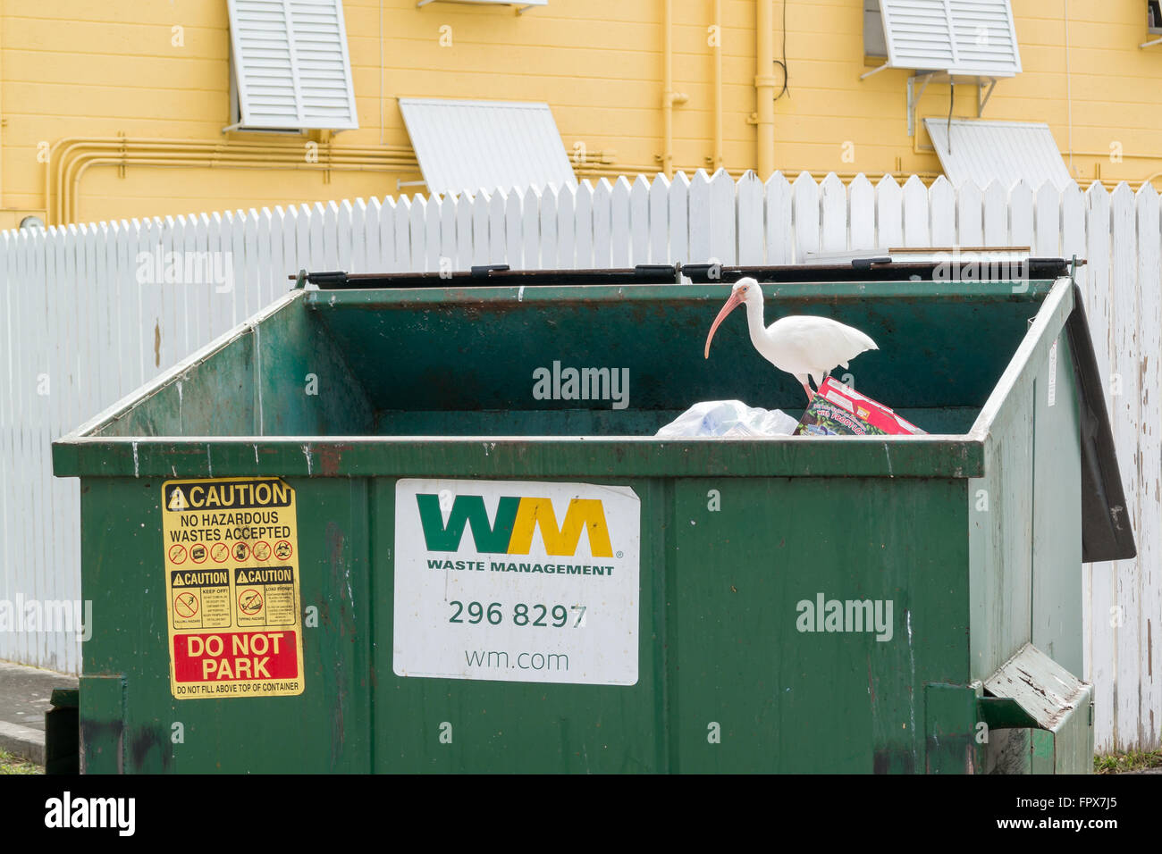 bosquejo Exagerar cepillo Trash container america hi-res stock photography and images - Alamy