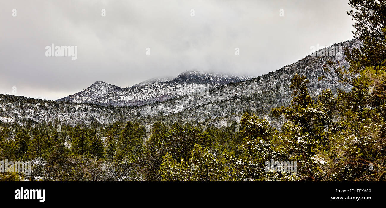 Winter snow mountain forest pine tree forest landscape Stock Photo - Alamy