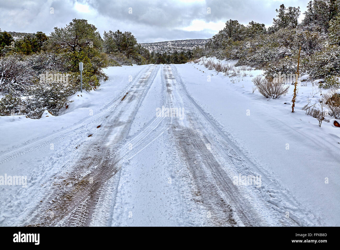winter snow forest mountain road landscape with tire tracks Stock Photo