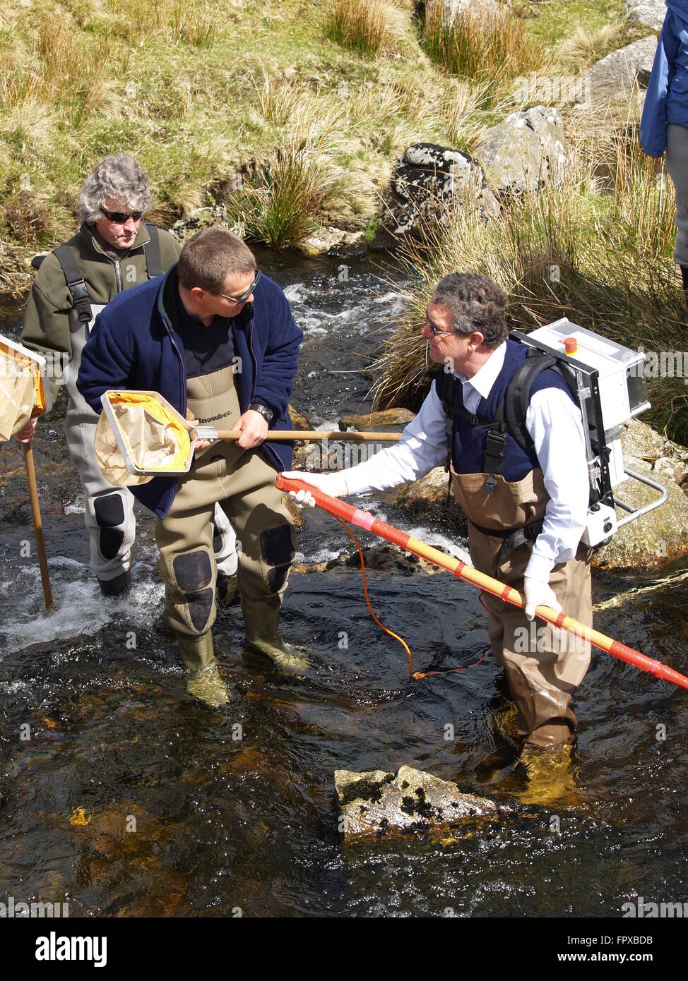 A group of people in waders standing in a river performing an electro