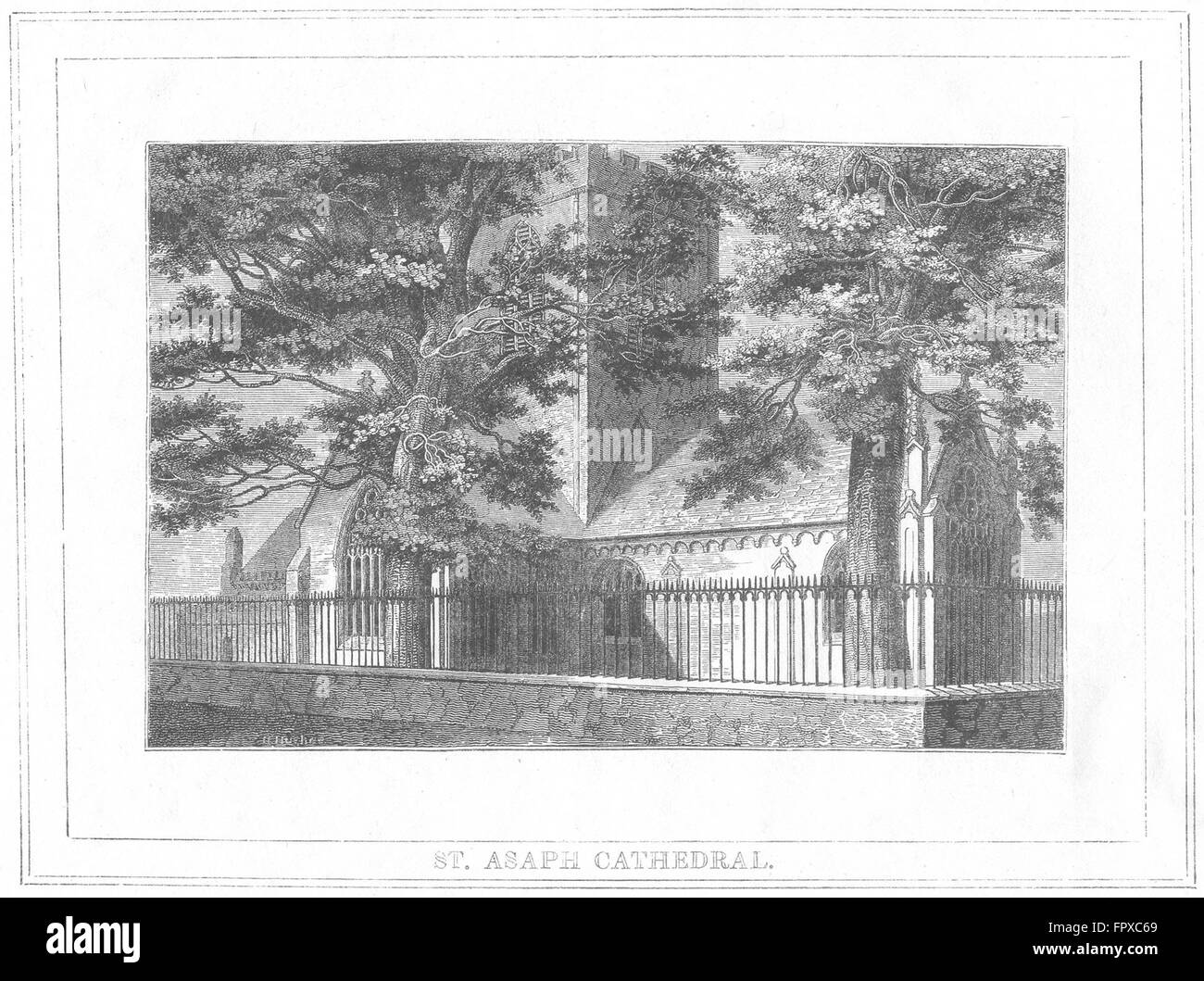 WALES: St Asaph Cathedral: Flint, antique print 1830 Stock Photo