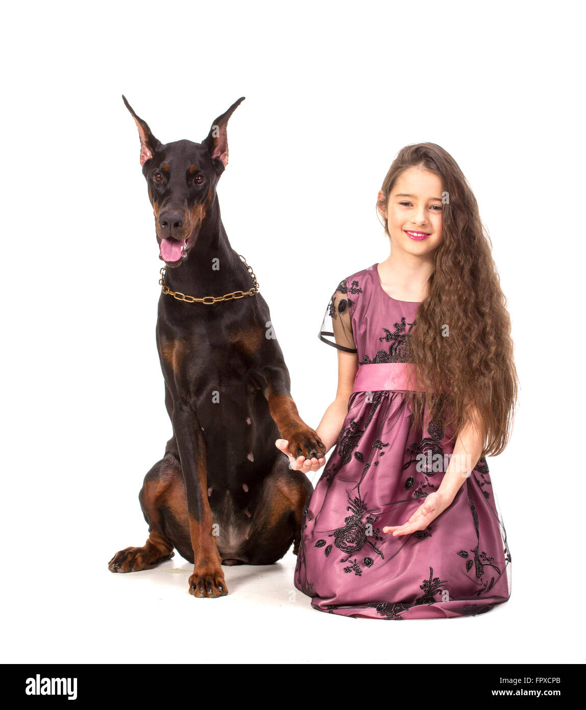Long hair girl with big black doberman dog, isolated on white Stock Photo