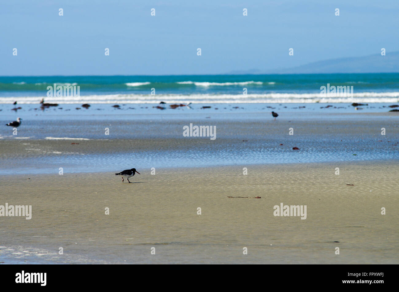 Riverton beach at low tide - New Zealand, South Island Stock Photo