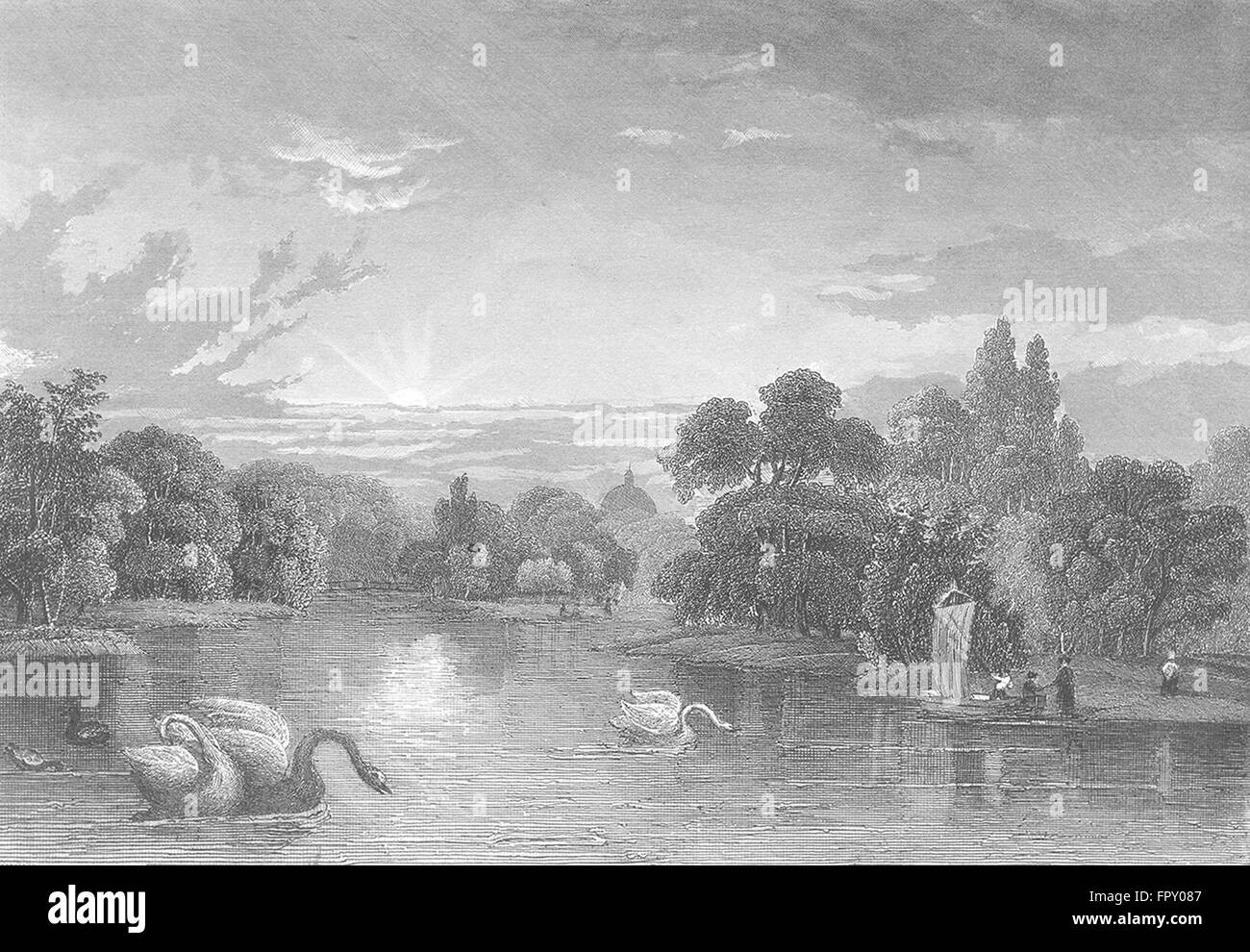 NETHERLANDS: Busch Haag: Wolff: HAGUE river Swans, antique print 1844 Stock Photo