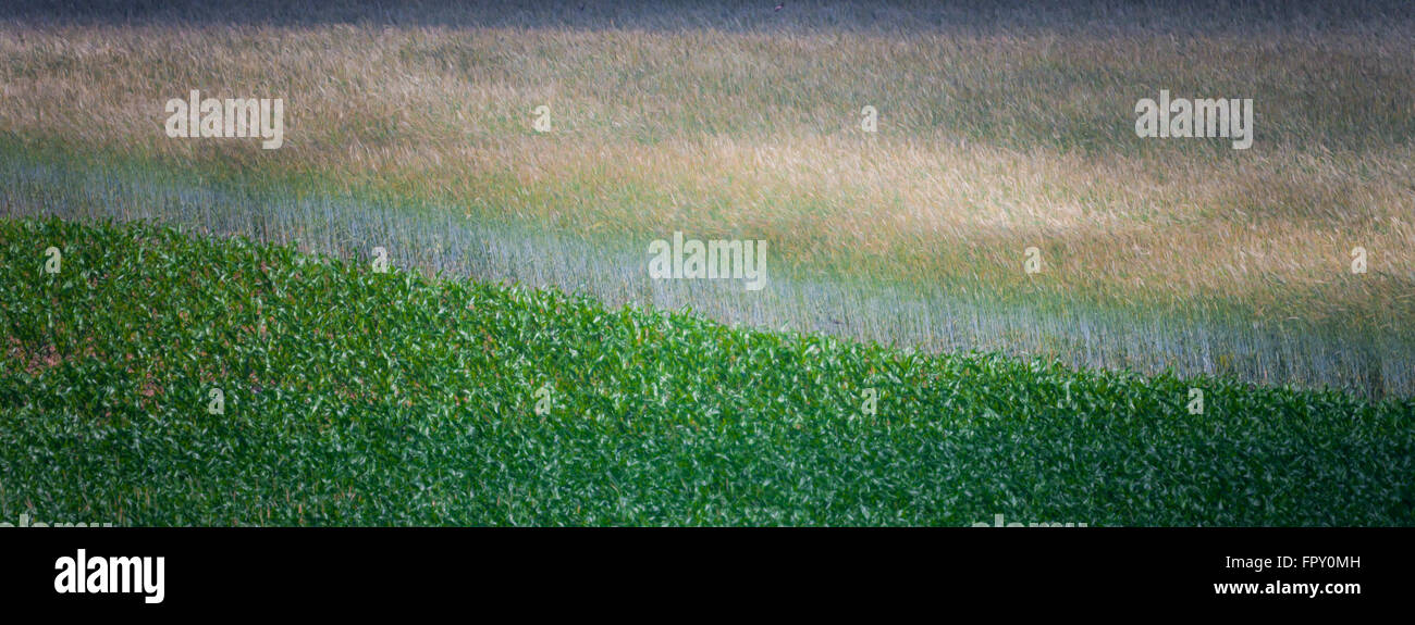Landscape colour image showing rural farm land in Southwestern Ontario, Canada. Stock Photo