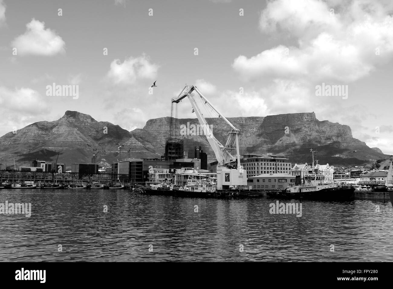 Table Mountain  viewed from the Victoria & Albert Waterfront (Cape Town, South Africa) Stock Photo