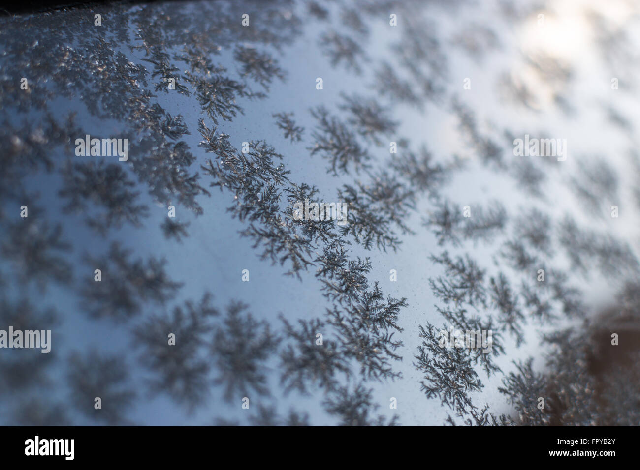 Frost patterns on a glass window creates winter themed patterns with a ...