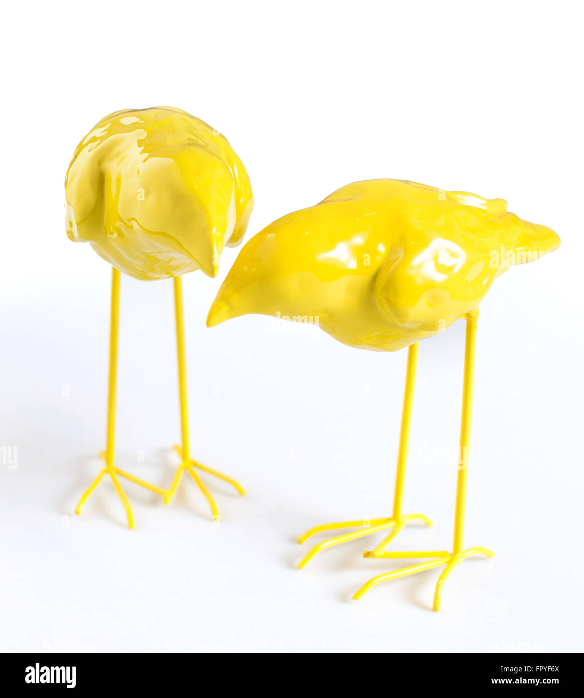 Two yellow birds isolated Stock Photo