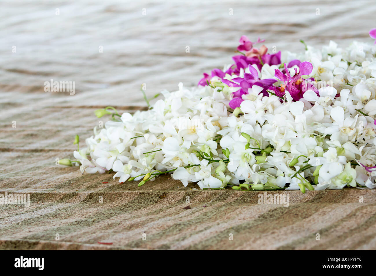 Orchid flower branch on carpet background Stock Photo