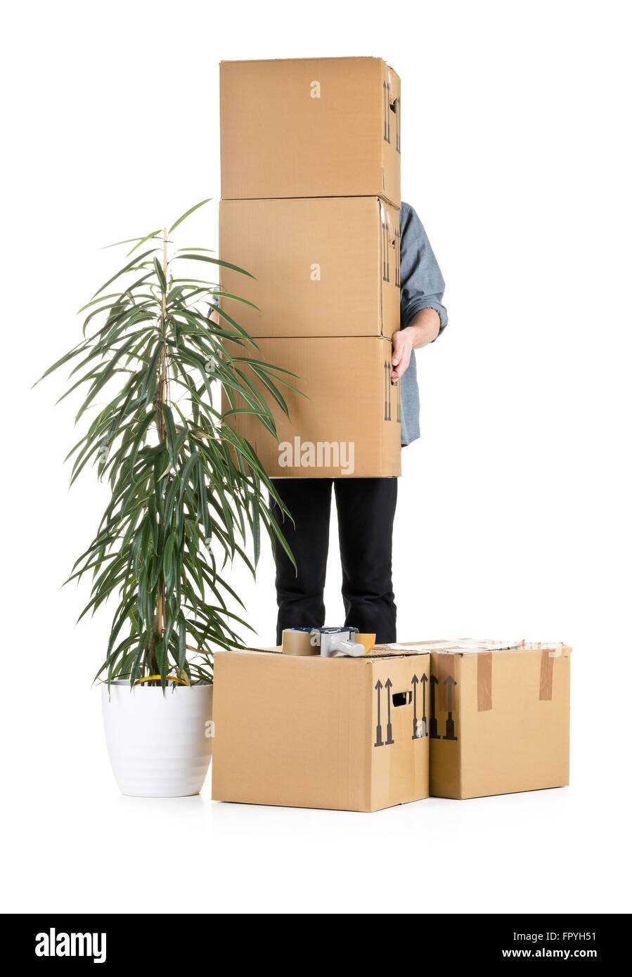 Man lifting moving carton boxes with plant over white background Stock Photo