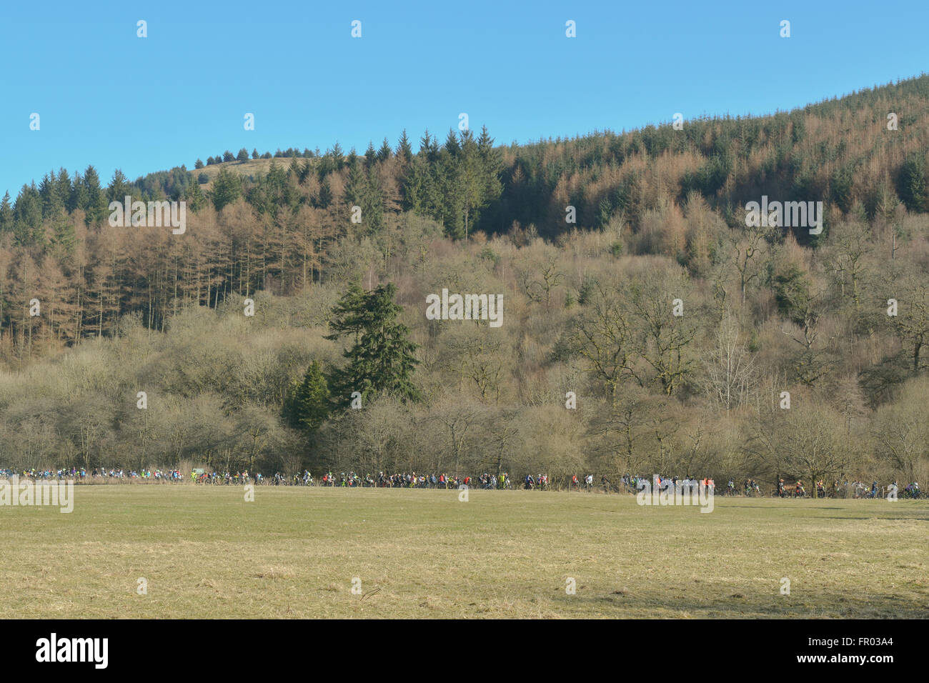 Ae Forest, Dumfries, Scotland - 20 March 2016: UK weather - downhill mountainbike competitors queue for uplift to start of SDA (Scottish Downhill Association) 2016 Series Race 1 in brilliant spring sunshine Credit:  Kay Roxby/Alamy Live News Stock Photo
