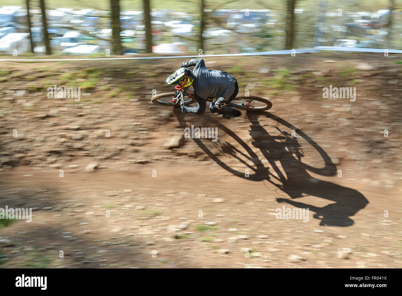 Ae Forest, Dumfries, Scotland - 20 March 2016: UK weather -  a rider completes his first run in the  SDA (Scottish Downhill Association) 2016 Series Race 1 in brilliant spring sunshine Credit:  Kay Roxby/Alamy Live News Stock Photo