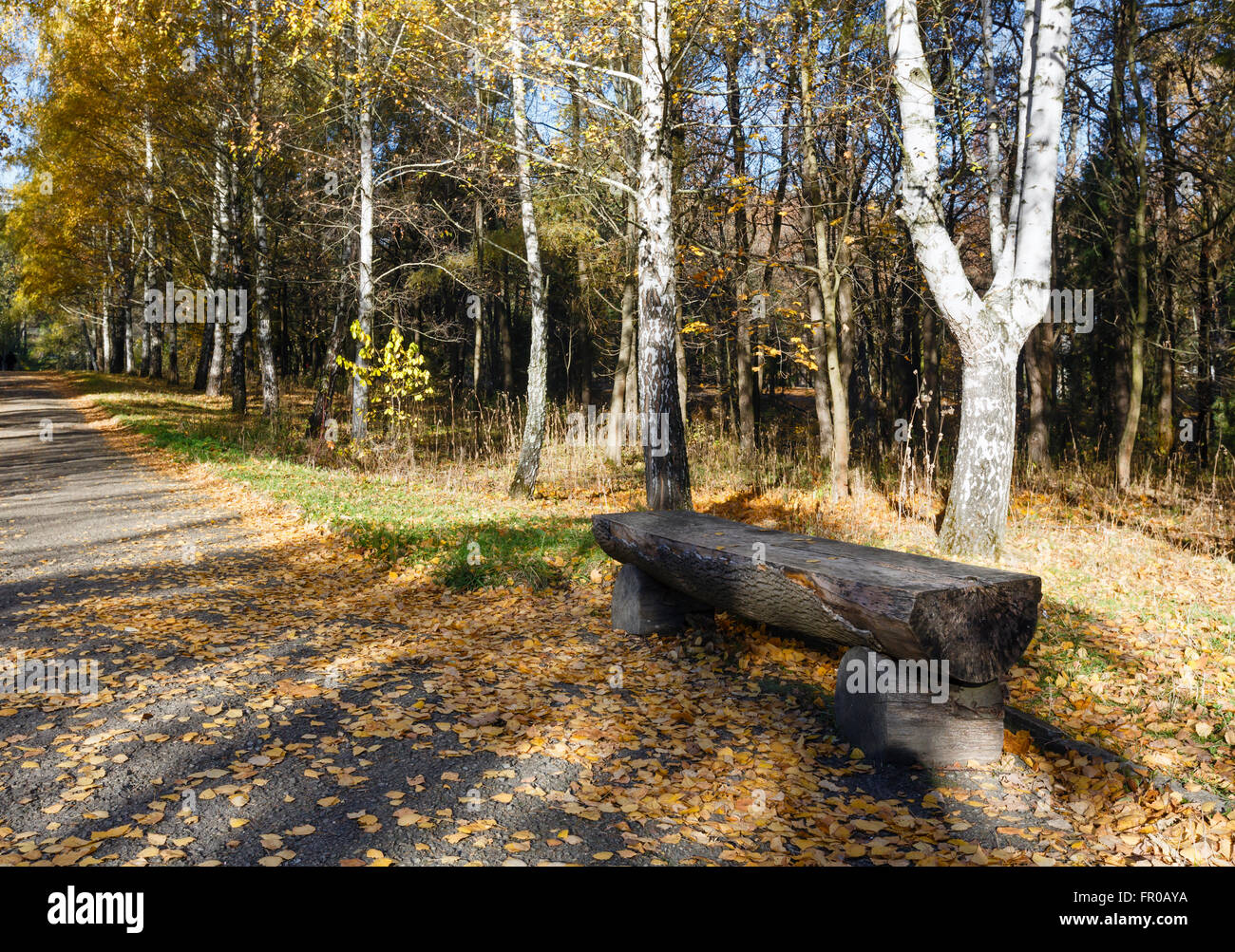 Bench from logs of wood along footway in golden autumn city park. Stock Photo