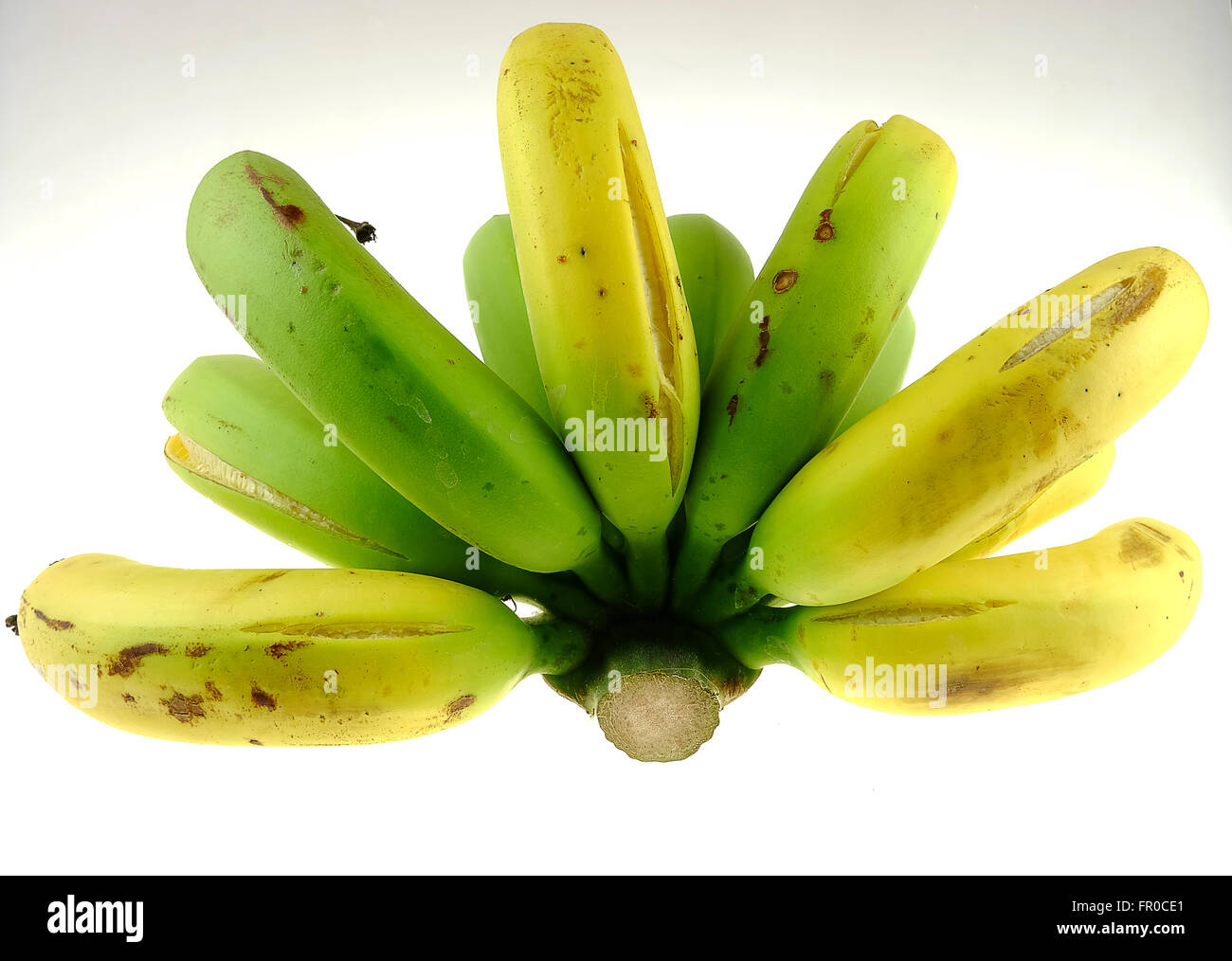 Banana plant white background hi-res stock photography and images - Page 17  - Alamy