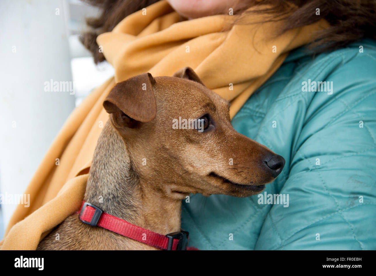 Min pin hi-res stock photography and images - Alamy