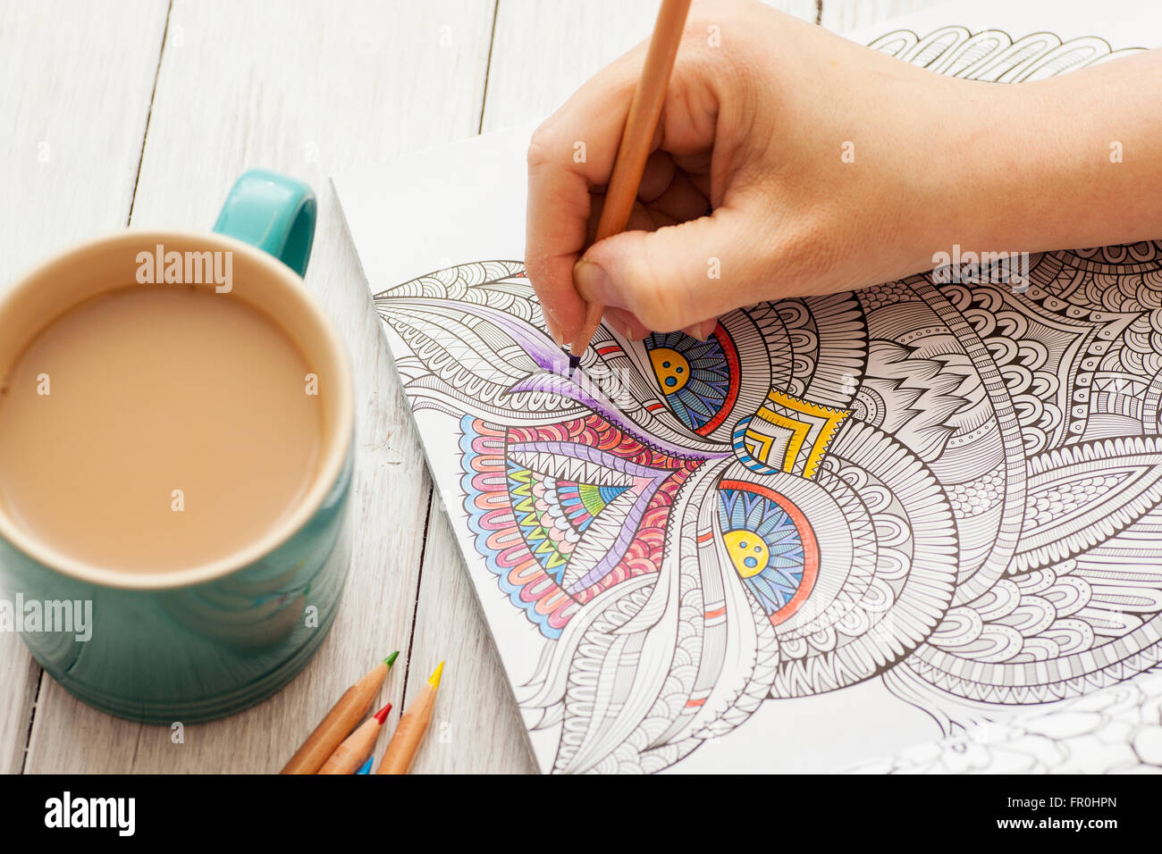Download Person Coloring In An Adult Coloring Book With Colorful Pencil Crayons Stock Photo Alamy