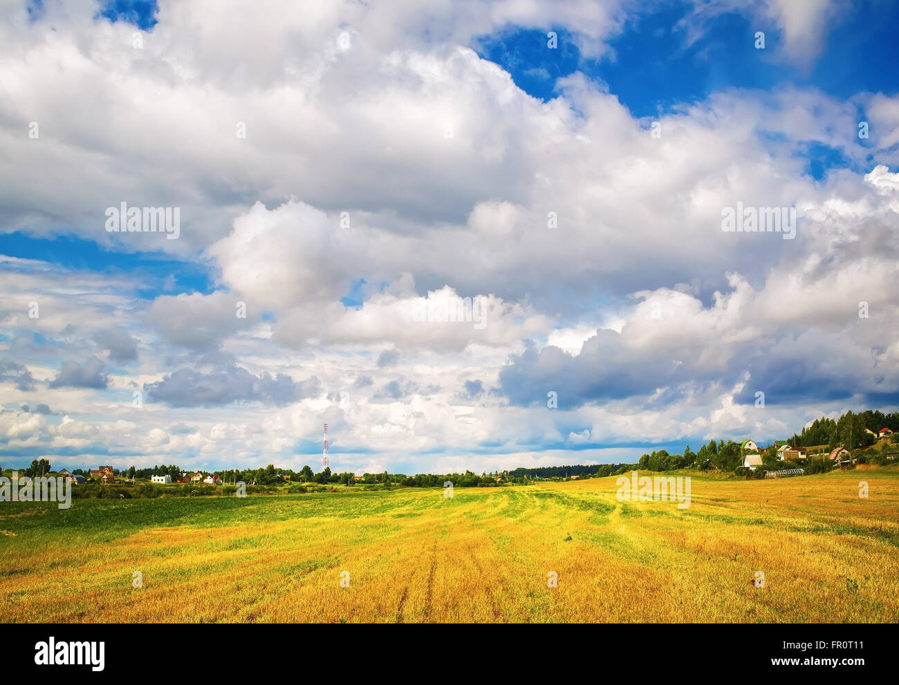 Bright rural landscape with field of cut grass and bright blue sky with ...