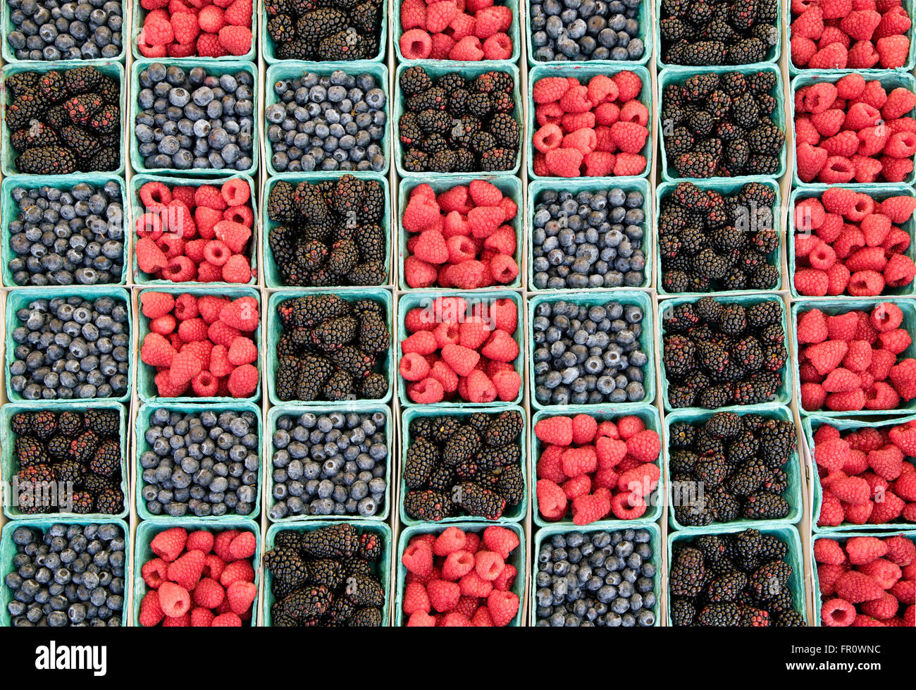 Blueberries, boysenberries and raspberries at a farmers market. Los Angeles, California Stock Photo