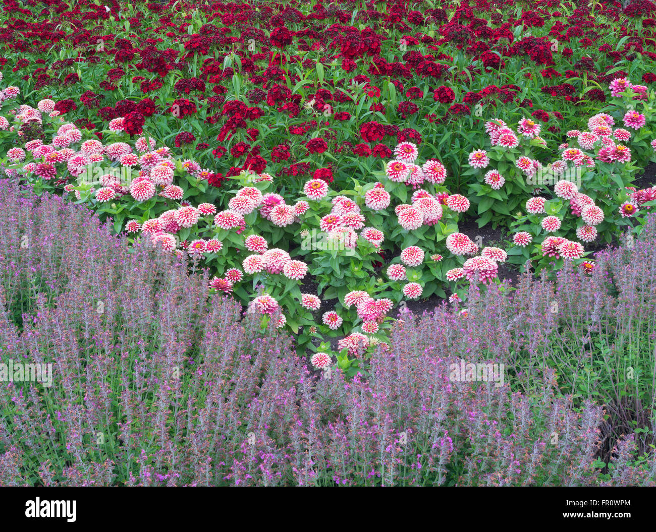 Flower beds at Oregon Garden, Silverton, Oregon Stock Photo