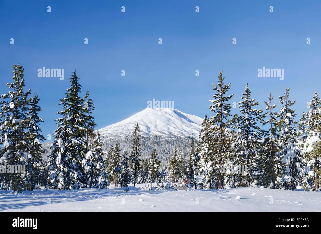 This photograph of scenic Mt. Bachelor was taken from a nearby SnoPark not far from Bend, Oregon. Stock Photo