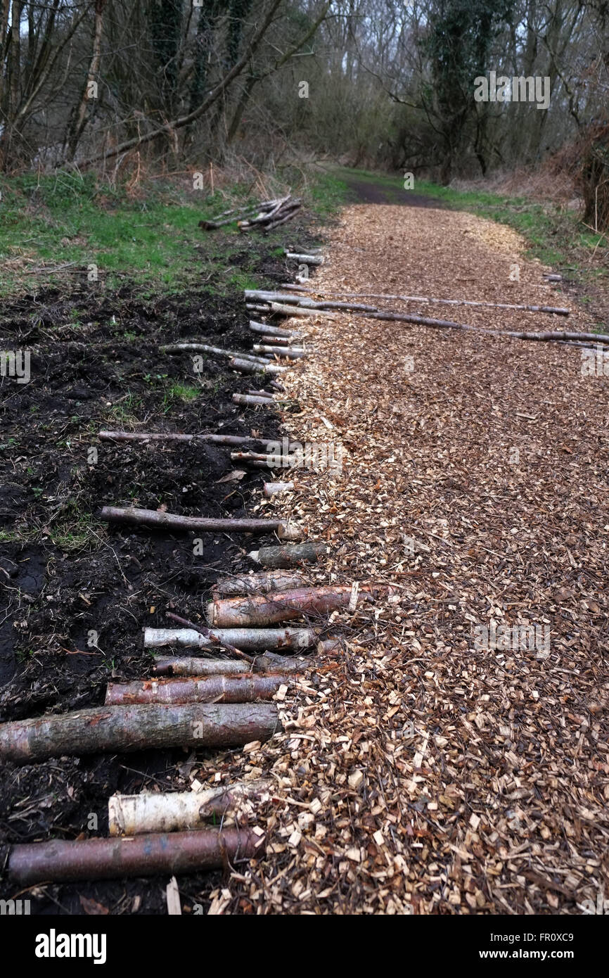Natural wood chip path through the woods for a nature trail, with logs to add strength. March 2016 Stock Photo