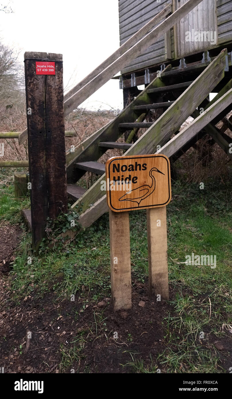 New wooden sign by English Nature for Noah's hide at Ham Wall in Somerset, March 2016 Stock Photo